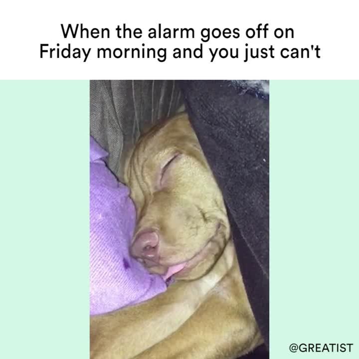 Friday Morning