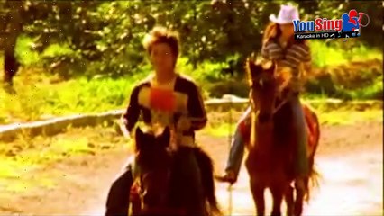 Chọn Sai Con Đường - Trịnh Tuấn Vỹ