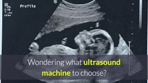 how-to-choose-a-veterinary-ultrasound-machine-for-pregnancy-scanning
