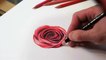 DRAWING A ROSE (How To Draw A Realistic Rose) Time Lapse Drawing by TANKRIUM