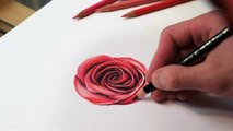DRAWING A ROSE (How To Draw A Realistic Rose) Time Lapse Drawing by TANKRIUM