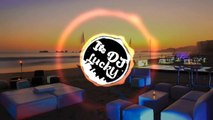 Peele Peele O More RAJA -- PARTY DANCE DJ HITS -- TIRANGA -- DJ SAURABH 2017 MIX
