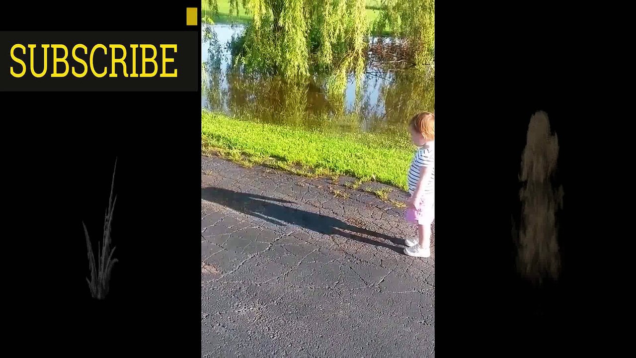 Cute Pranks Babys in World