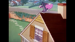 Flying Cat, Tom and Jerry Cartoon