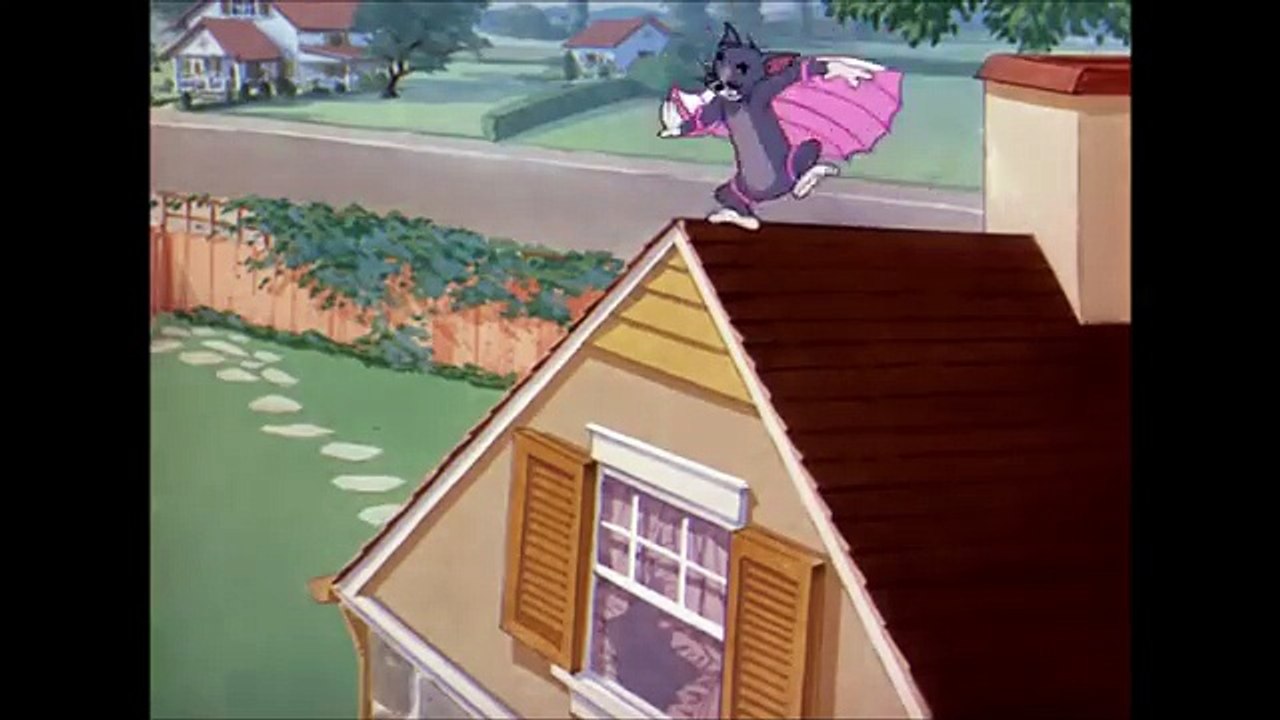 Flying Cat, Tom and Jerry Cartoon