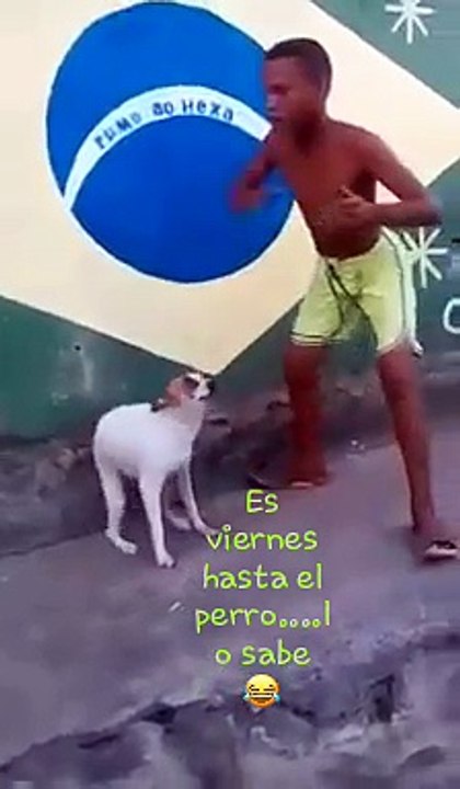 dancing a dog funny video