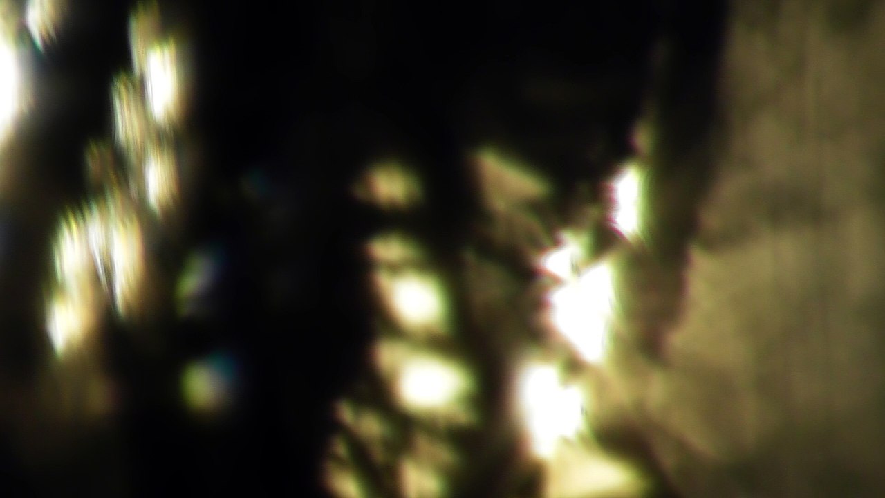 March 17 2017 DL3