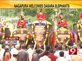 Nagapura welcomes Dasara elephants- NEWS9