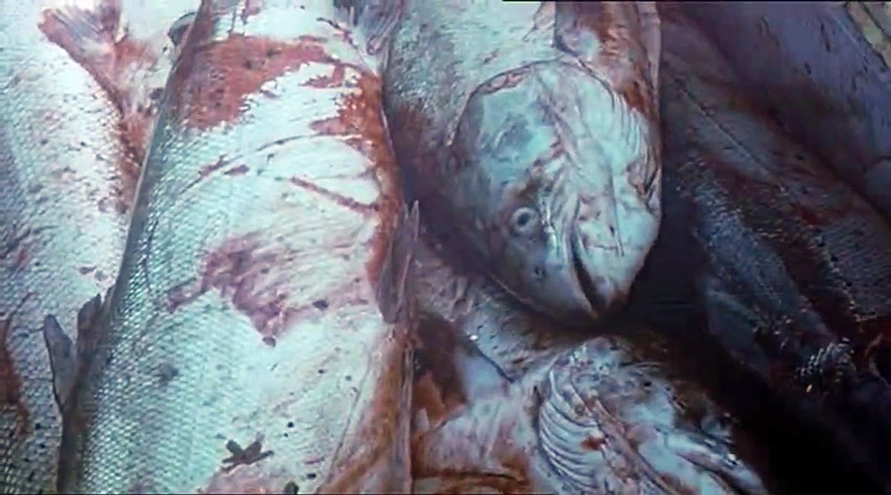 Watchtower  2001   ,    Pt 03
