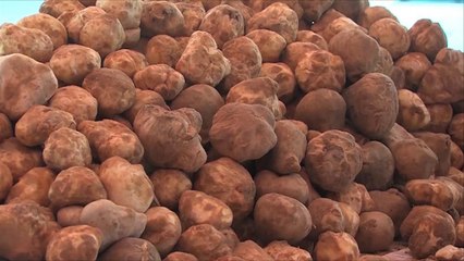 هذا الصباح- الماس الأسود يتربع على المائدة الكويتية