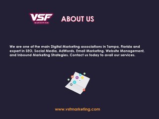 SEO Company in Tampa - VSF Marketing