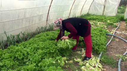 Eşine inat açtığı lokantada 5 kişi istihdam etti - ZONGULDAK