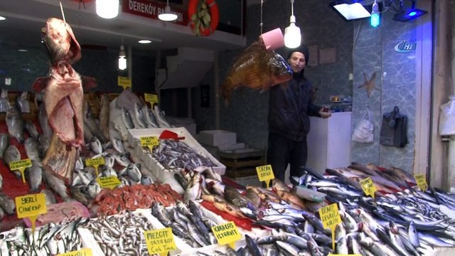 Dev balıklar görenleri şaşırttı... 10,5 kiloluk sazan ilgi odağı oldu