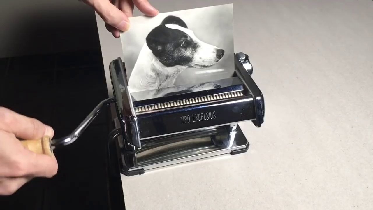 Quadrupler une photo d'un chien avec une machine à pâtes