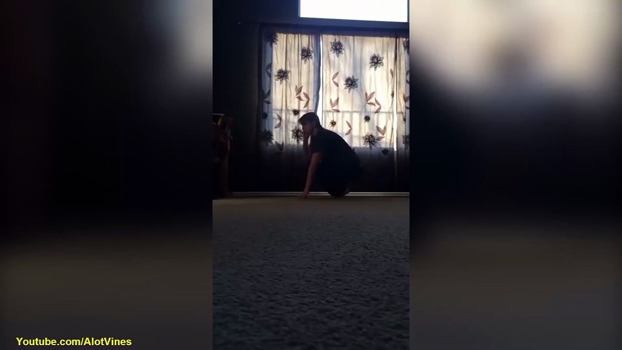funny dog try to yoga |  Try not to laugh