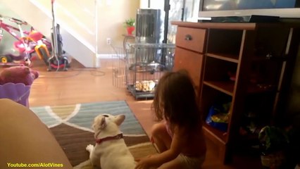 funny dog trick on floor Try not to laugh