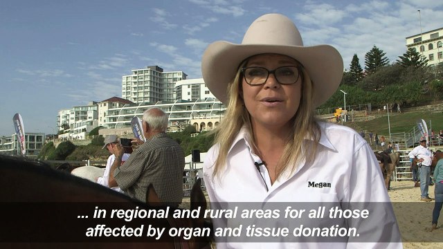 Cows throng Bondi Beach for Australia rural health cause