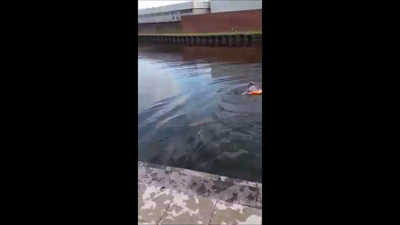 Ce héro plonge dans l'eau glacée pour sauver un chat qui se noie... Incroyable