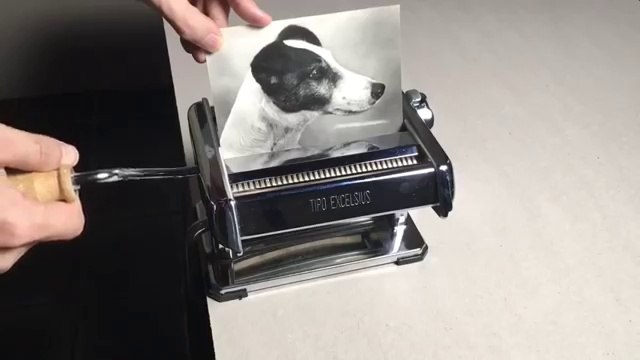 Ce que fait cet artiste est dingue : Quadrupler une photo de chien avec une machine à pâtes