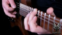 Hufschmid Guitars 'all sapele mahogany' by Darius Wave ü