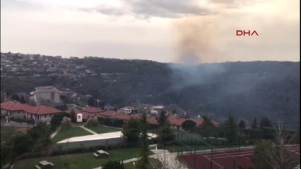 Télécharger la video: Sarıyer'de Ormanlık Alanda Yangın