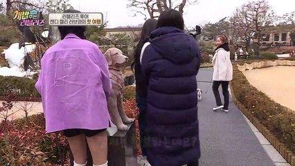 잔디밭을 산책하는 캔디, 젤리, 러브! 요리↗조리↘ 뽈뽈뽈뽈♥