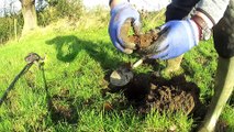 Metal detecting, I Find My First Coin & A Small Axe Head