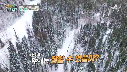 최현석X뚜이, 알래스카 개썰매 훈련장 도착! 뚜이 썰매개 본능 살아난다!★