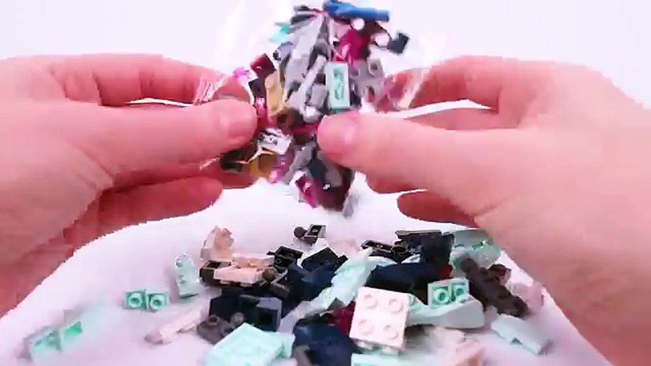 LEGO ELVES Rosalyns Healing Hideout - LEGO 41187 Unboxing & Speed build