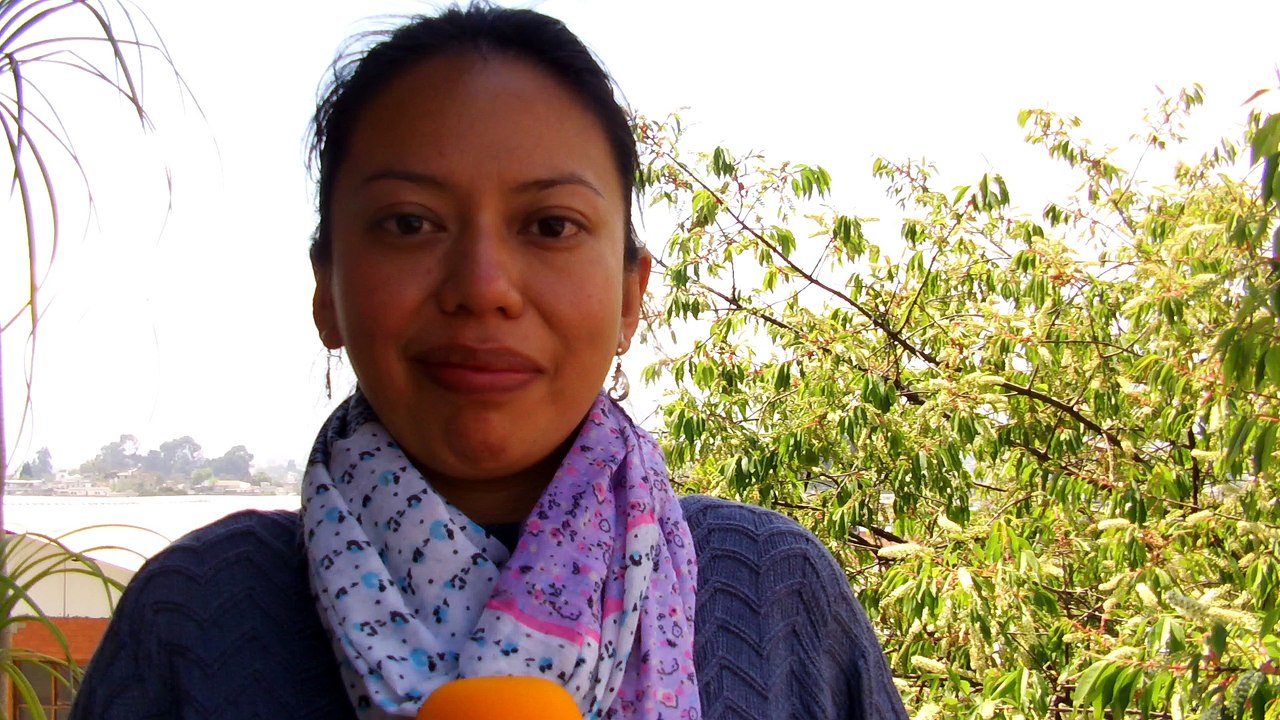 Spanish School Academic Director Guatemala