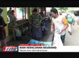 Ribuan Ikan Keracunan Belerang, Petani Keramba Merugi