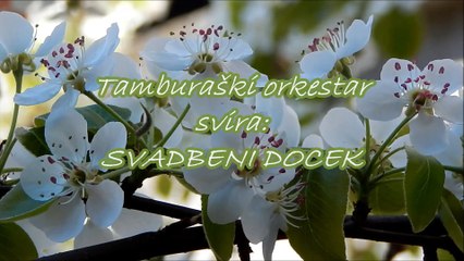 Tamburaški orkestar - Svadbeni doček - Wedding's welcome (instrumental)