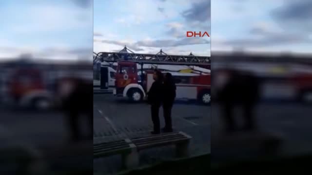 Zonguldak Köpekten Kaçarken Ağaçta Mahsur Kalan Kediyi İtfaiye Kurtardı