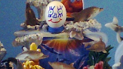 37.Egghead our hero hanging with the dolphines.listen to the sounds of the ocean.