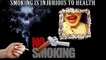 NO SMOKING-Hindi Audio Talking lips video by shreya