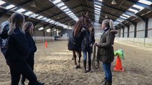 Paardencoaching! Een heftige sessie met Contessa... | Zaressa