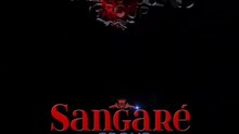 LOGO SANGARE (animation)