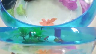 How To Make Real Robotic Fish Orbeez Aquarium Toys DIY 리얼 물고기 개구리알 어항 꾸미기