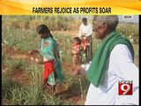 Bidar, farmers rejoice as profits soar - NEWS9