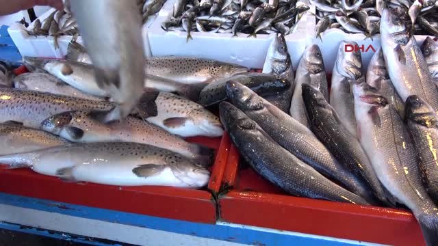 Trabzon-Karadeniz'de Hamsi Tükendi