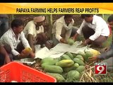 Papaya farming helps farmers reap profits - News9