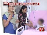 Dengue fear grips Bengaluru again - NEWS9