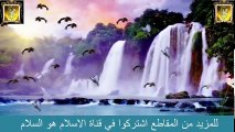 # قصة تبكي الحجر #