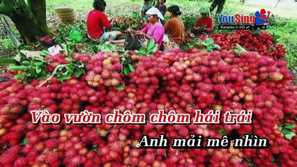 Hai Mươi Năm Tình Đẹp Mùa Chôm Chôm - Khả Tú