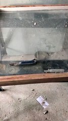 Sash Windows Cambridge