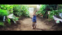 Las Travesuras Peter Rabbit película ver online completas HD   Descargar torrent gratis