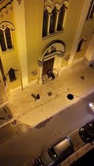 Bari: rissa nel quartiere Umbertino