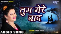 सबसे दर्द भरा गीत 2017 - Anu Dubey - तुम मेरे बाद - Tum Mere Bad - Pyar Mohabbat - Hindi Sad Songs