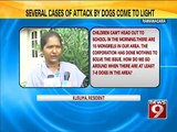 Ramanagara, residents troubled by dog menace - NEWS 9