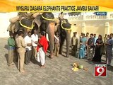 NEWS9: Mysuru Dasara elephants practice Jambu Savari